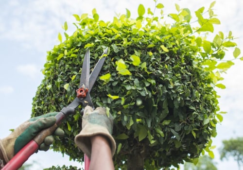 What is another name for tree trimming?