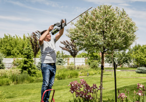 What is the tree service industry called?