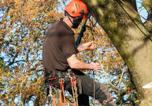 Is an arborist the same as a tree cutter?