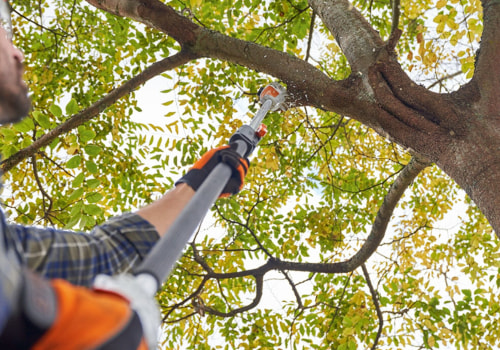 What is the best tree trimming technique?