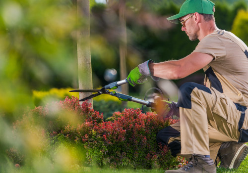 What is the professional name for a tree cutter?