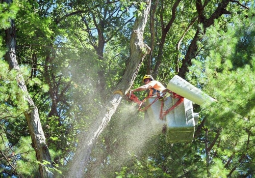 What state has the most tree work?