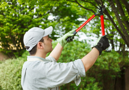 What are the different types of tree trimming?