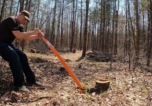 How do professionals remove a tree?