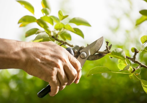 What are the methods of trimming?