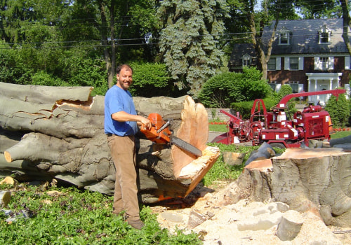 What machine do they use to cut down trees?