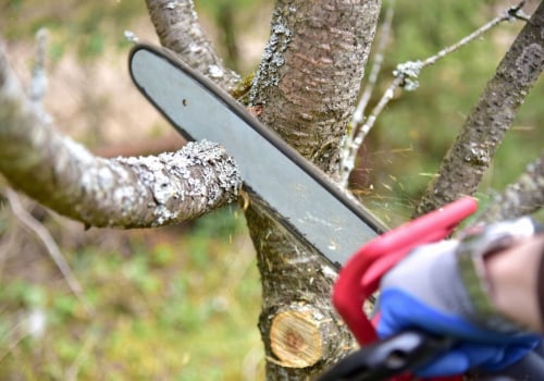 What state pays the most for tree service?